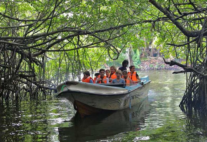 River Boat Safari